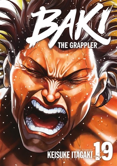 Baki : the grappler. Vol. 19