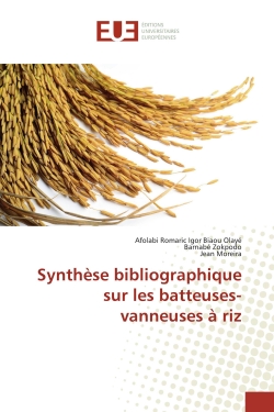 Synthèse bibliographique...