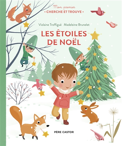 les étoiles de noël