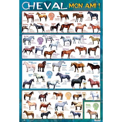 Cheval mon ami !
