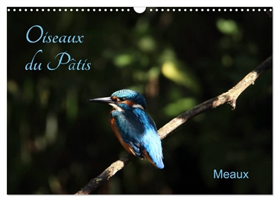 Oiseaux du Pâtis (Calendrier mural 2025 DIN A3 vertical), CALVENDO calendrier mensuel : Oiseaux du parc naturel du Pâtis à Meaux au gré des saisons