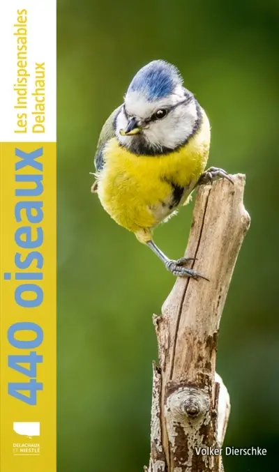 440 oiseaux