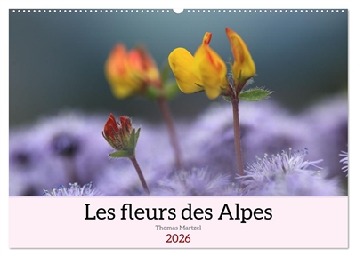 Les fleurs des Alpes...
