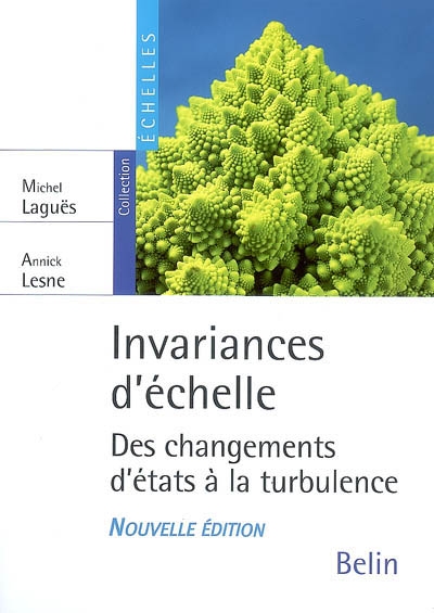 Invariances d'échelle : des changements d'états à la turbulence