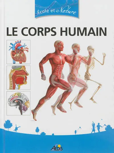 Le corps humain