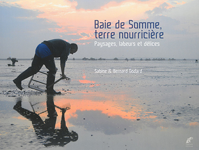 Baie de Somme, terre nourricière : paysages, labeurs et délices