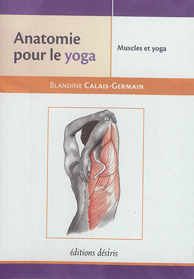 Anatomie pour le yoga : les muscles dans le yoga