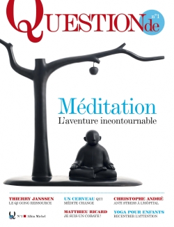 Question de, n° 1. Méditation : l'aventure incontournable