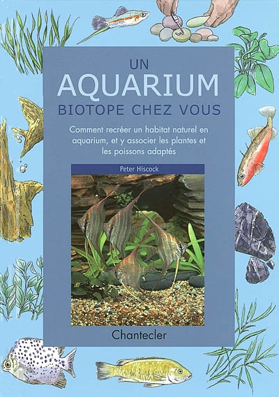 Un aquarium biotope chez vous