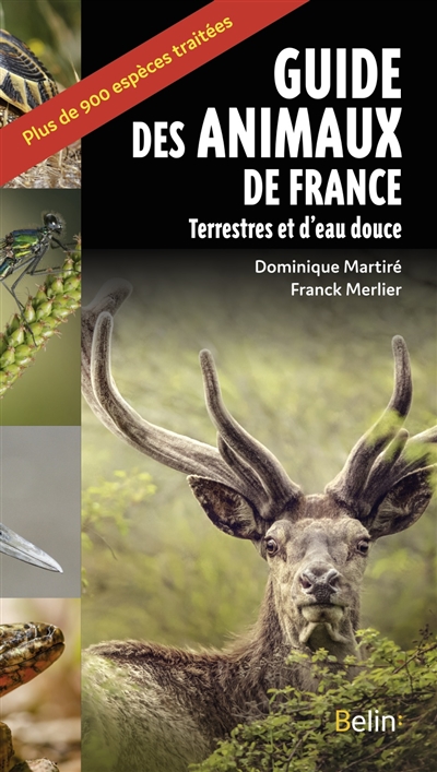 Guide des animaux de France : terrestres et d'eau douce : plus de 900 espèces traitées