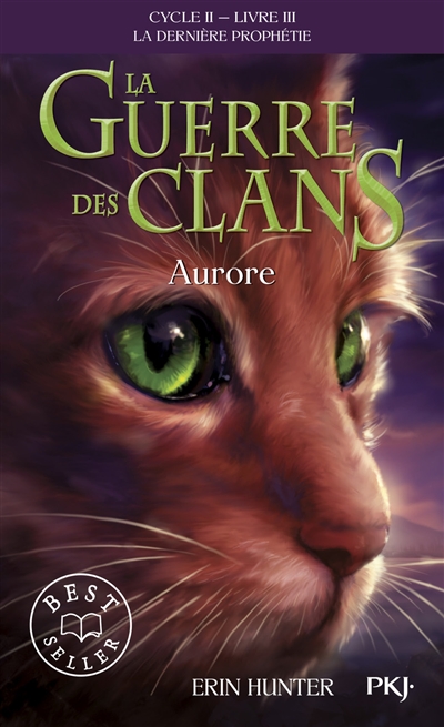 La guerre des clans, Aurore, cycle 2, tome 3