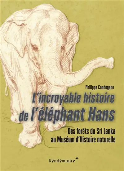 L'incroyable histoire de l'éléphant Hans : des forêts du Sri Lanka au Muséum d'histoire naturelle