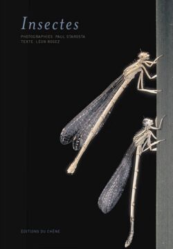 Insectes