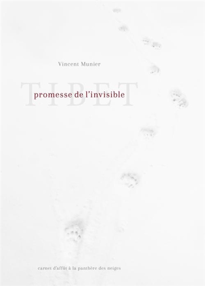 Tibet, promesse de...