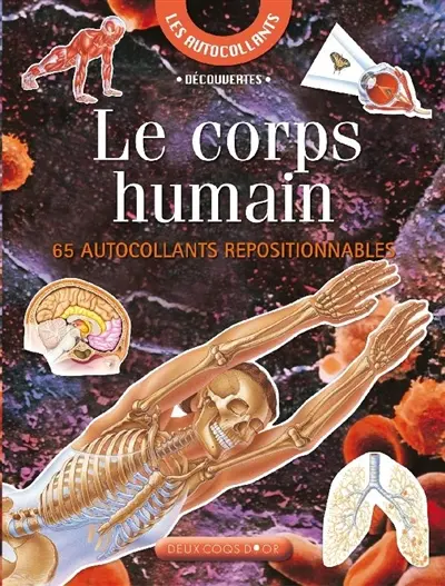 Le corps humain : 65 autocollants repositionnables