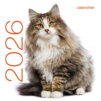 Calendrier mural 2026 : Chats