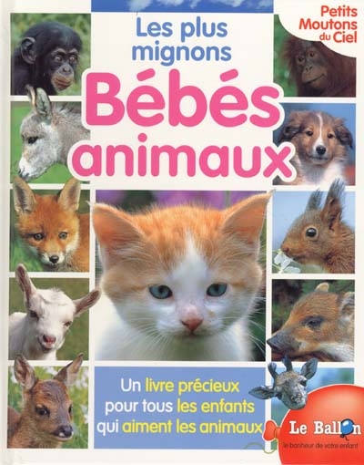 Les plus mignons Bébés Animaux