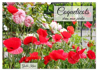 Coquelicots dans mon jardin...