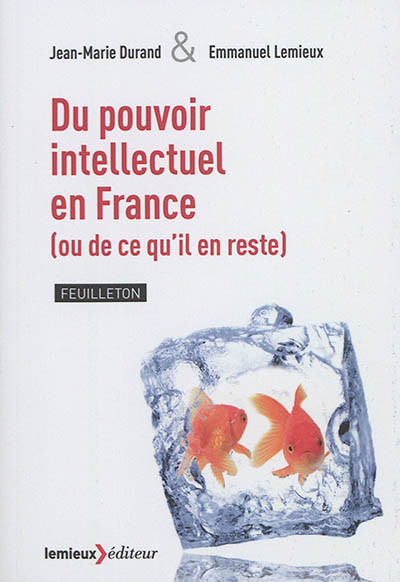 Du pouvoir intellectuel en France (ou de ce qu'il en reste) : feuilleton