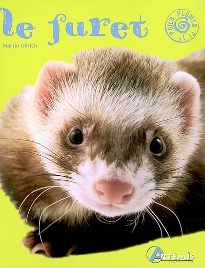 Le furet