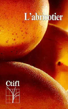 L'Abricotier