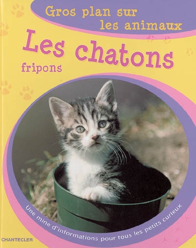 Les chatons fripons