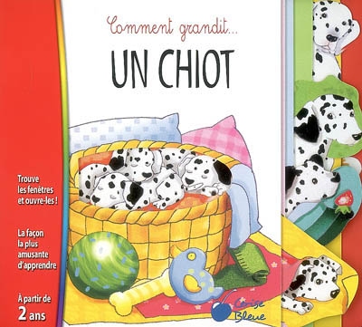 Un chiot