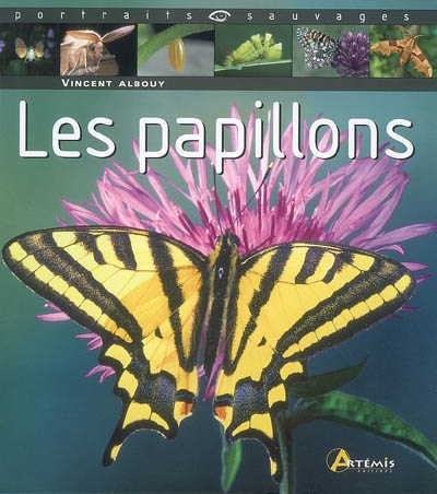 Les papillons