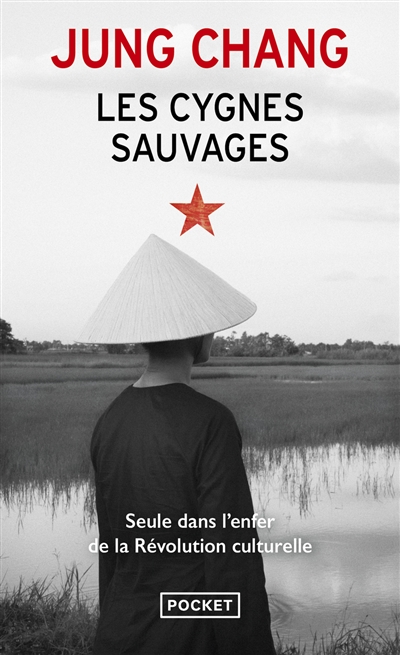 Les cygnes sauvages : les...