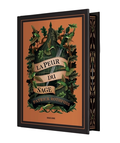 Chronique du tueur de roi, tome 2 : La peur du sage
