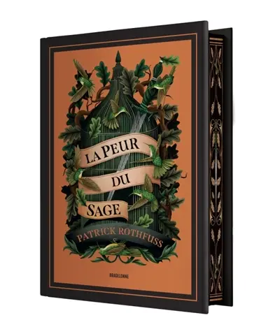 Chronique du tueur de roi. Vol. 2. La peur du sage