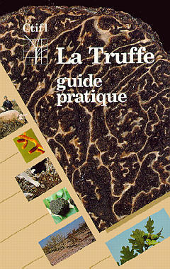 La truffe
