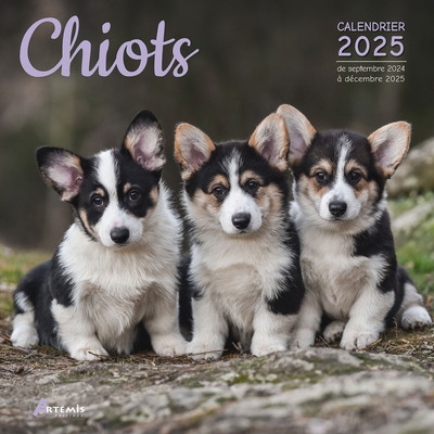 Chiots : calendrier 2025 :...