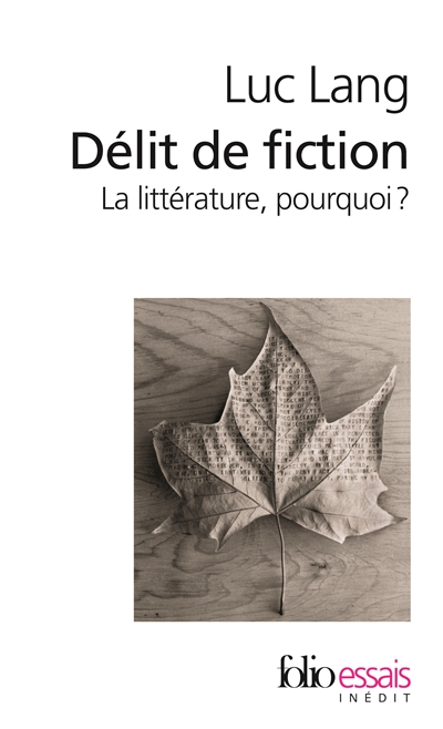 Délit de fiction : la littérature, pourquoi ?