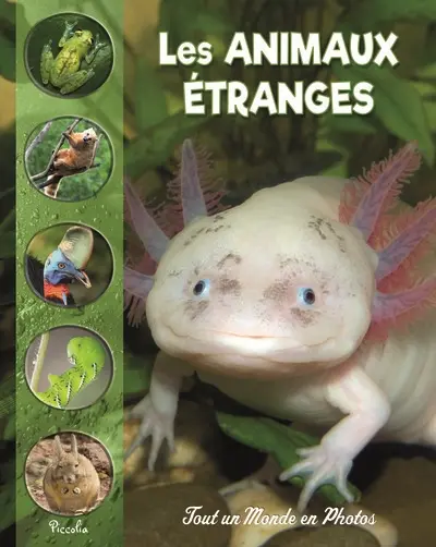 Animaux étranges et méconnus