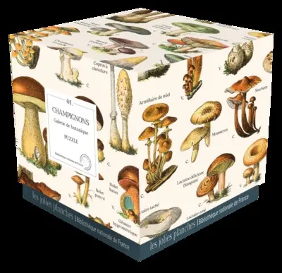 Champignons : puzzle