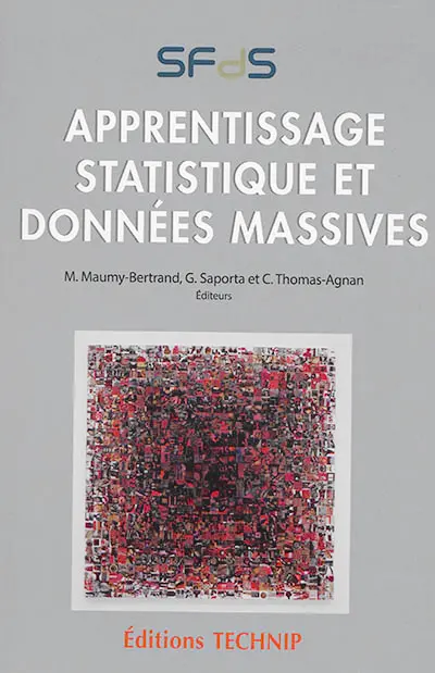 Apprentissage statistique et données massives