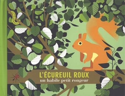 L'écureuil roux : un habile petit rongeur