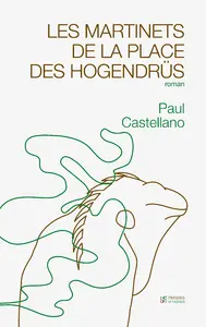 Les martinets de la place des Hogendrüs
