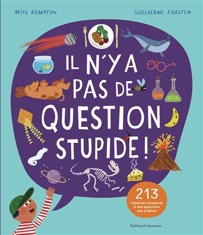 Il n'y a pas de question stupide ! : 213 réponses d'experts à des questions pas si bêtes
