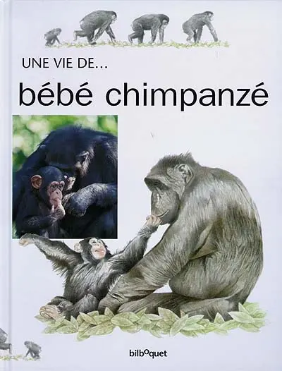 Bébé Chimpanzé