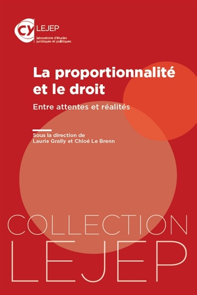 La proportionnalité et le droit : entre attentes et réalités