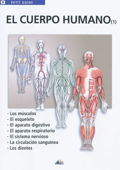 El cuerpo humano : los musculos, el esqueleto, el aparato digestivo, el aparato respiratorio, el sistema nervioso, la circulacion sanguinea, los dientes
