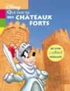 Que sais-tu des châteaux forts ?