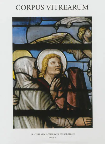Corpus vitrearum Belgique. Vol. 6. Les vitraux de la seconde moitié du XVIe siècle et de la première moitié du XVIIe siècle conservés en Belgique : provinces du Brabant wallon, de Hainaut, de Liège et de Namur