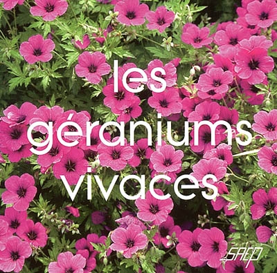 Les géraniums vivaces