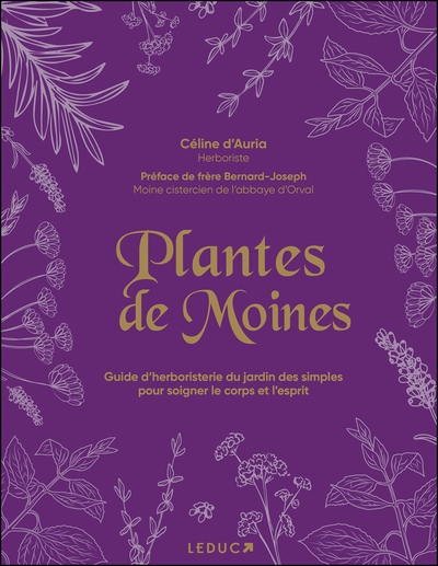Plantes de moines : guide...