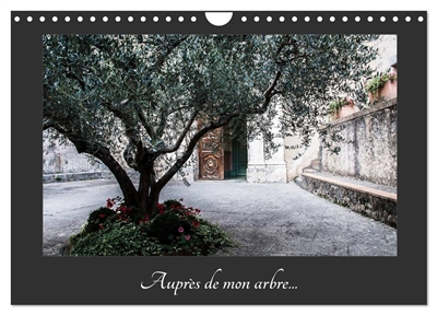 Auprès de mon arbre...