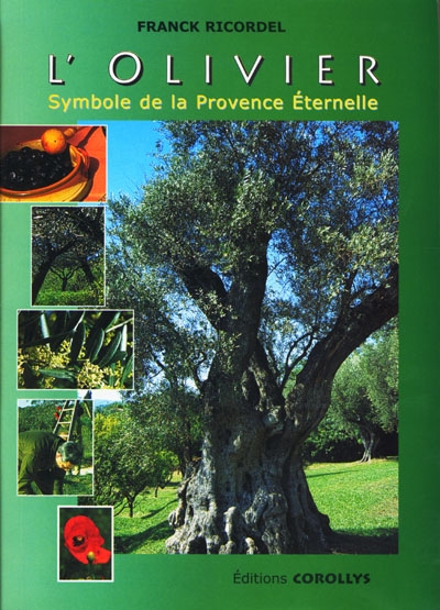 L'olivier : symbole de la Provence éternelle