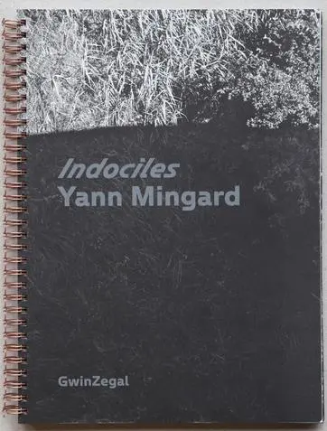 Indociles